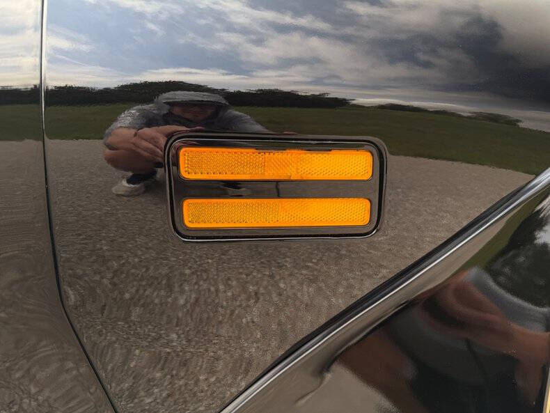 1981 Pontiac Firebird Trans Am