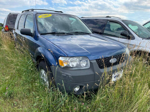 2007 Ford Escape Hybrid for sale at Alan Browne Chevy in Genoa IL