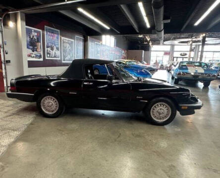 1987 Alfa Romeo Spider Graduate