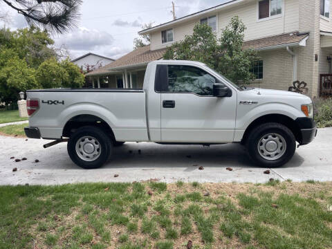 2010 Ford F-150