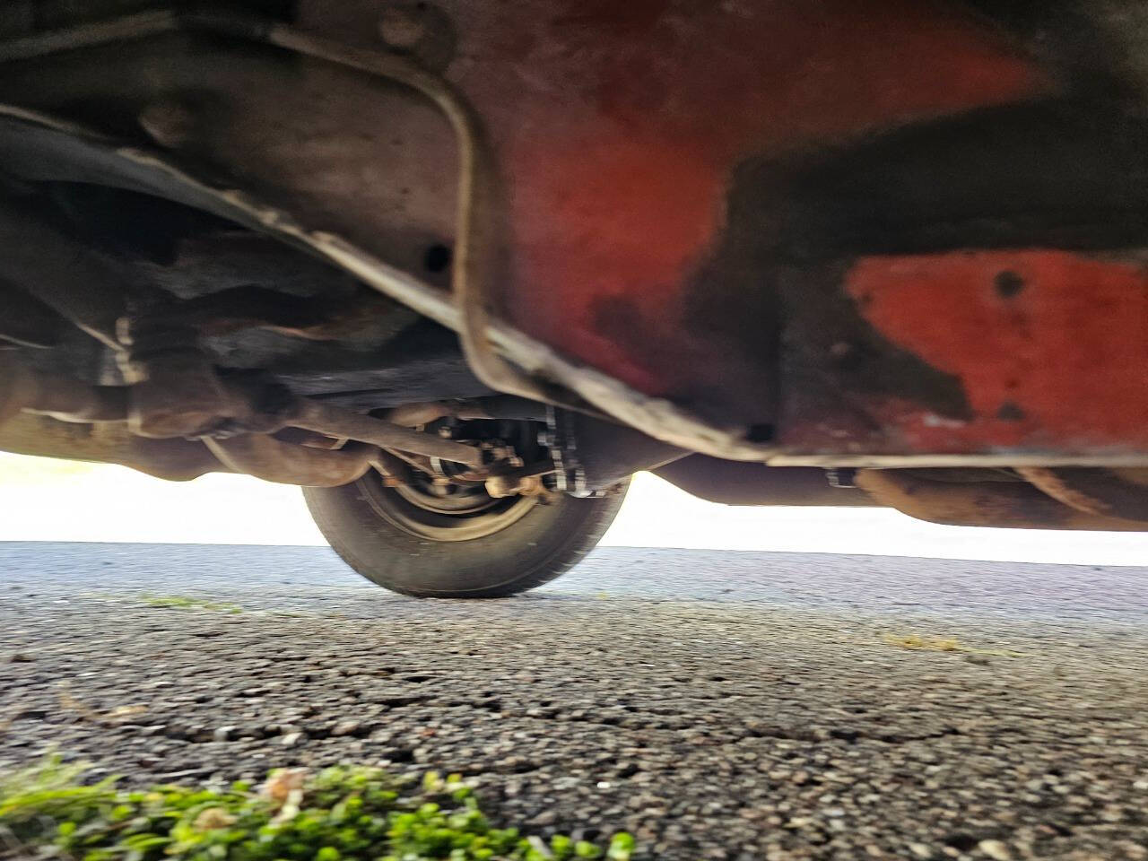 1964 Ford Mustang 228