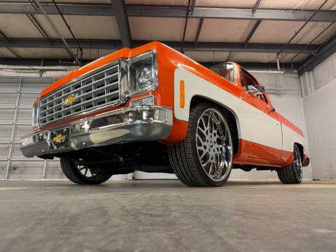 1976 Chevrolet C/K 10 Series