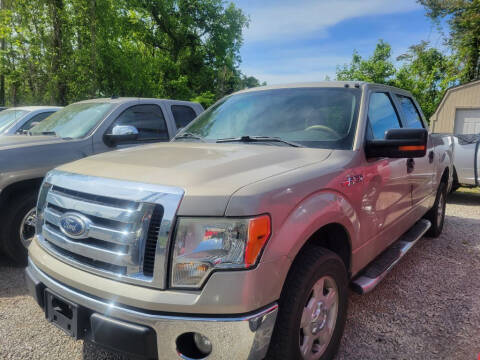 2010 Ford F-150 for sale at Thompson Auto Sales Inc in Knoxville TN