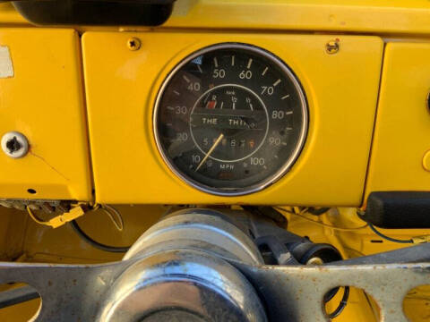 1973 Volkswagen Thing