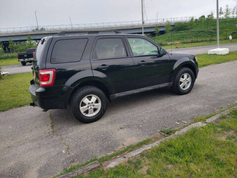 2010 Ford Escape XLT