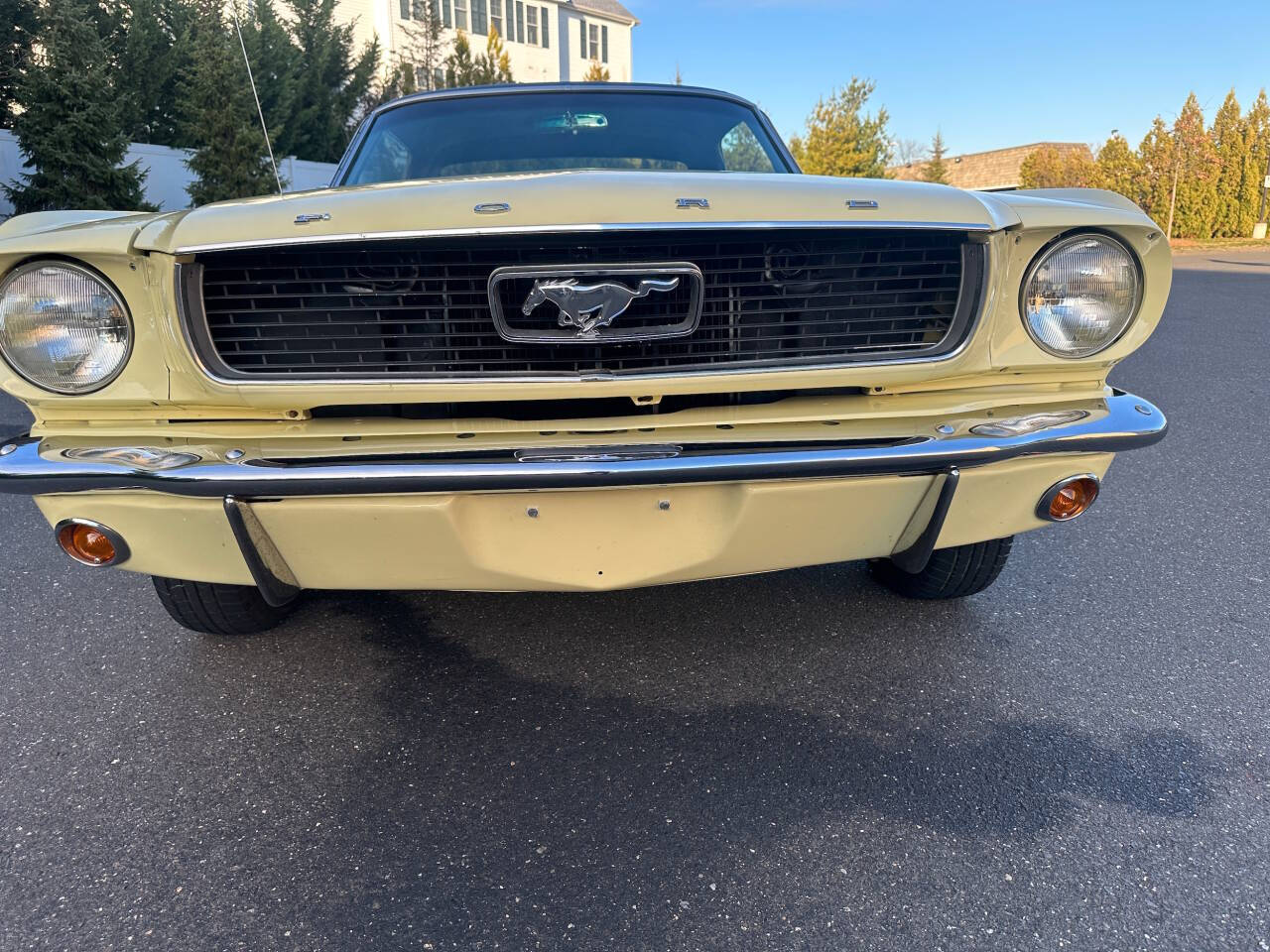 1966 Ford Mustang 14