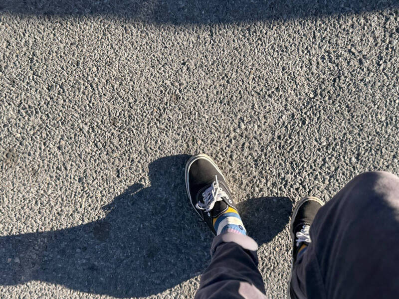 2014 Toyota Avalon Limited