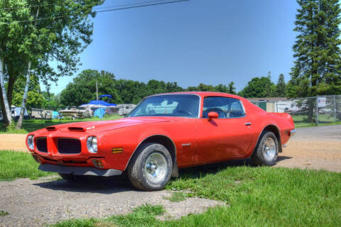 1973 Pontiac Firebird Trans Am for sale at Hooked On Classics in Excelsior MN