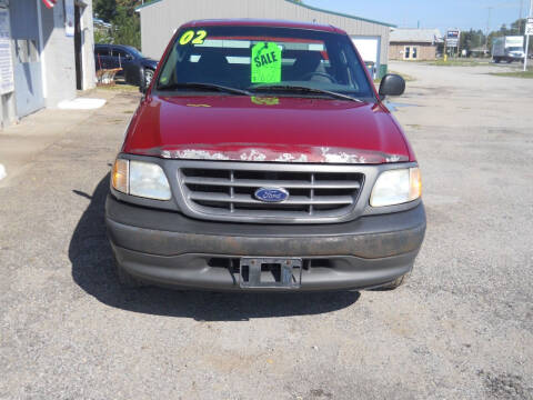 2002 Ford F-150 for sale at Shaw Motor Sales in Kalkaska MI