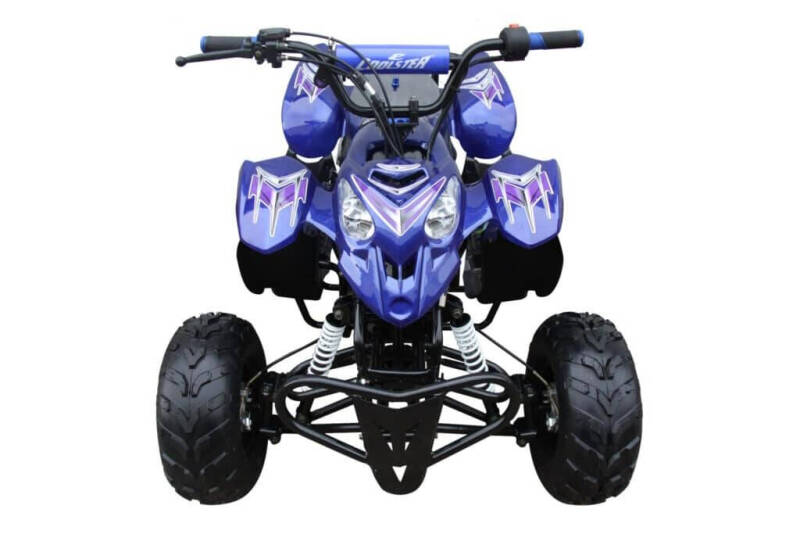 2025 Coolster 110cc 3050B