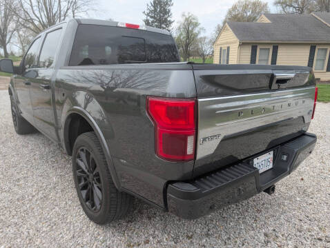 2020 Ford F-150 Platinum