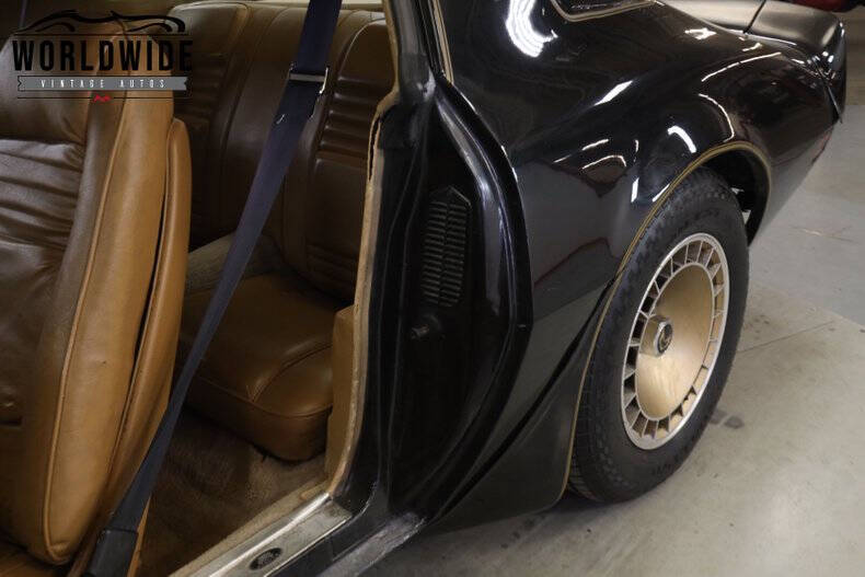 1981 Pontiac Firebird Trans Am