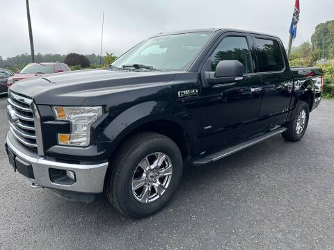 2015 Ford F-150 for sale at Pine Grove Auto Sales LLC in Russell PA