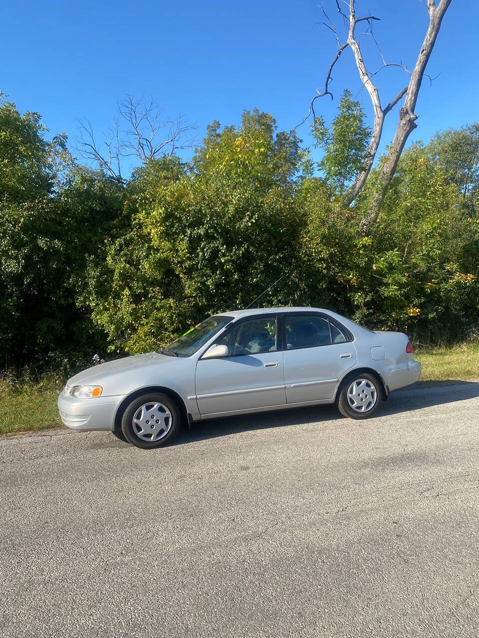 2000 Toyota Corolla for sale at Endless auto in Blue Island, IL