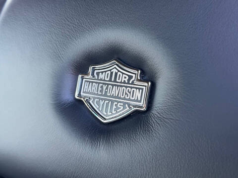 2001 Ford F-150 Harley-Davidson