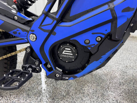 2025 E-Ride Pro SS 3.0
