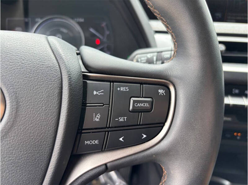 2021 Lexus UX 250h