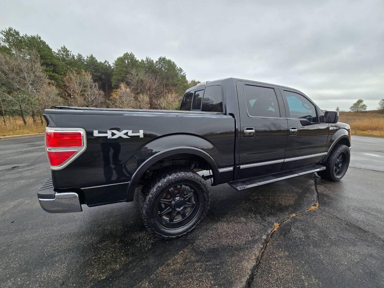 2010 Ford F-150 for sale at Dedicated Auto Sales Inc in Elk River, MN