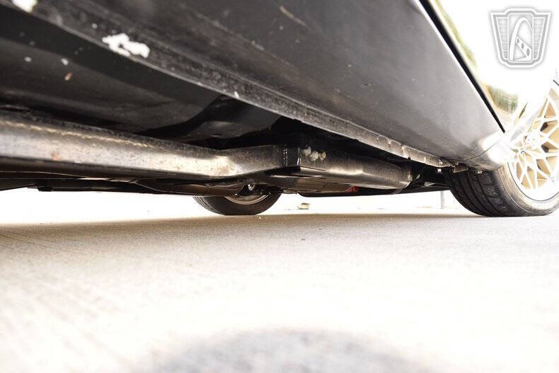 1981 Pontiac Firebird Trans Am