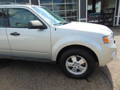 2011 Ford Escape XLT
