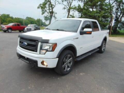 2014 Ford F-150 for sale at The Car & Truck Store in Union Grove WI