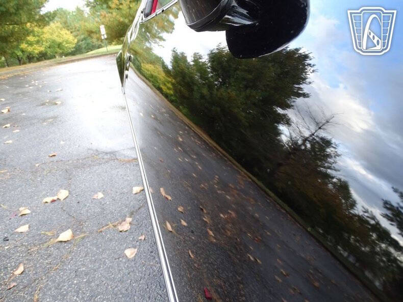 1981 Pontiac Firebird