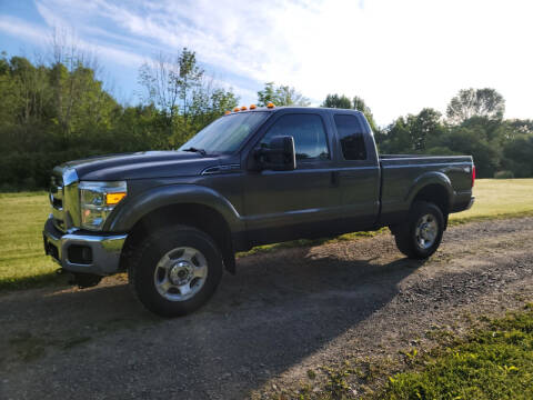 2014 Ford F-250 Super Duty for sale at Clearwater Motor Car in Jamestown NY