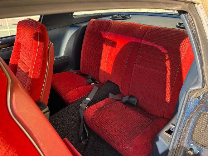 1979 Pontiac Firebird