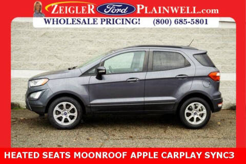 2019 Ford EcoSport for sale at Zeigler Ford of Plainwell - Zeigler Ford of Lowell in Lowell MI