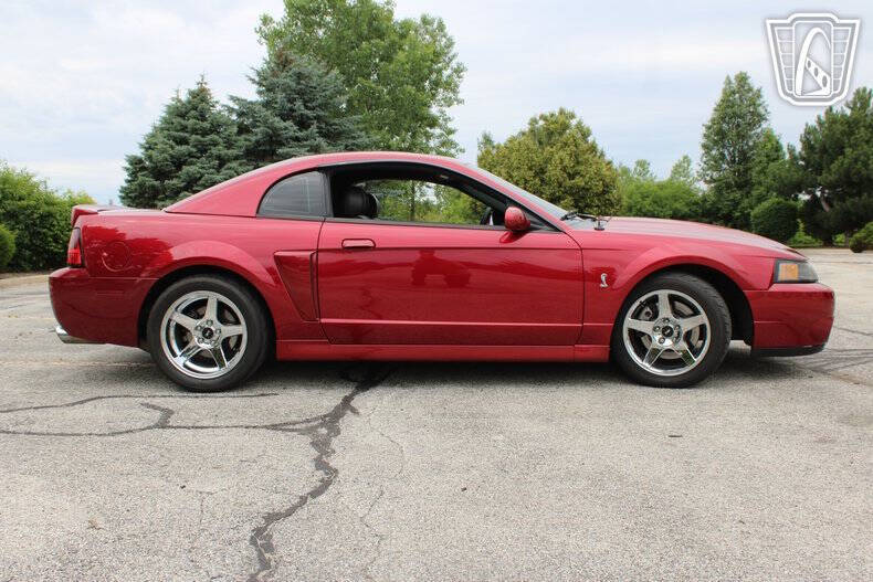 2003 Ford Mustang SVT Cobra