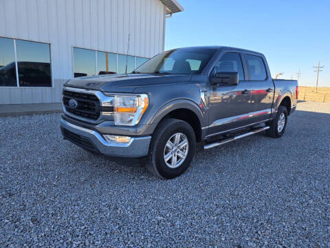 2022 Ford F-150 for sale at B&R Auto Sales in Sublette KS