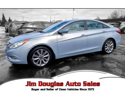 2013 Hyundai Sonata for sale at Jim Douglas Auto Sales in Pontiac MI