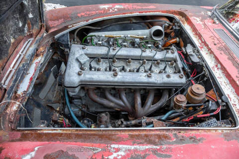 1964 Alfa Romeo Spider