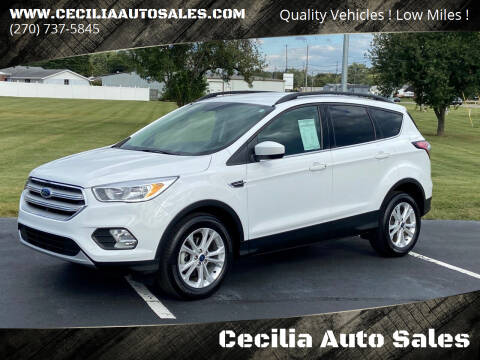 2018 Ford Escape for sale at Cecilia Auto Sales in Elizabethtown KY