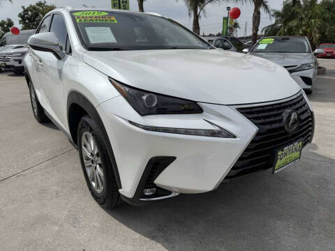 2019 Lexus NX 300