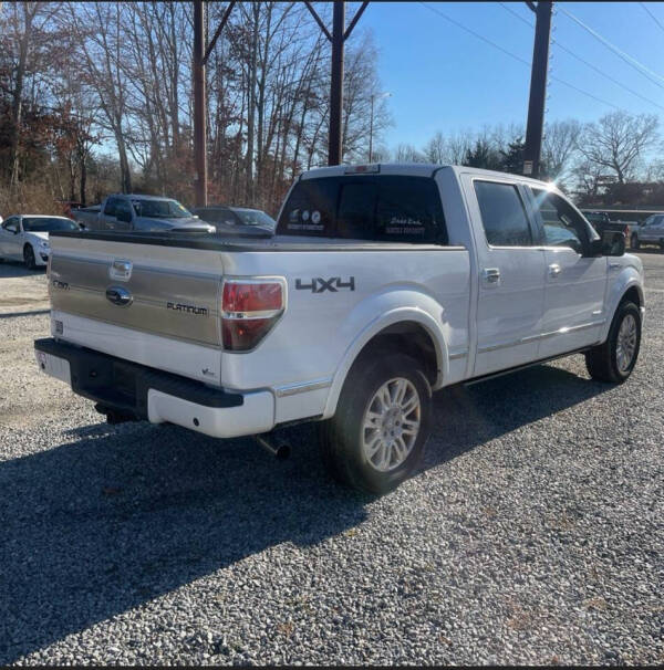 2013 Ford F-150 Platinum photo 6