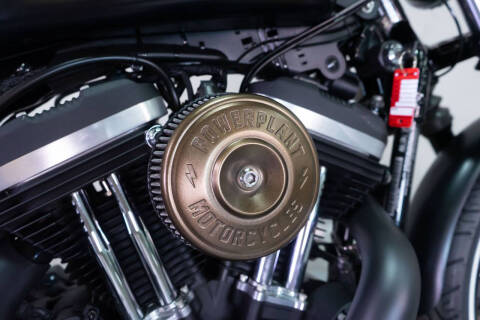 2015 Harley-Davidson Iron 883