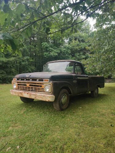 1965 Ford F-100