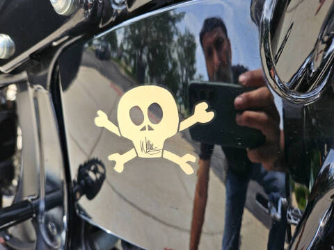 2009 Harley-Davidson FLSTSB CrossBones