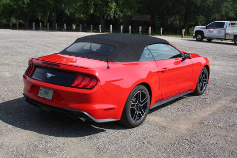 2023 Ford Mustang EcoBoost