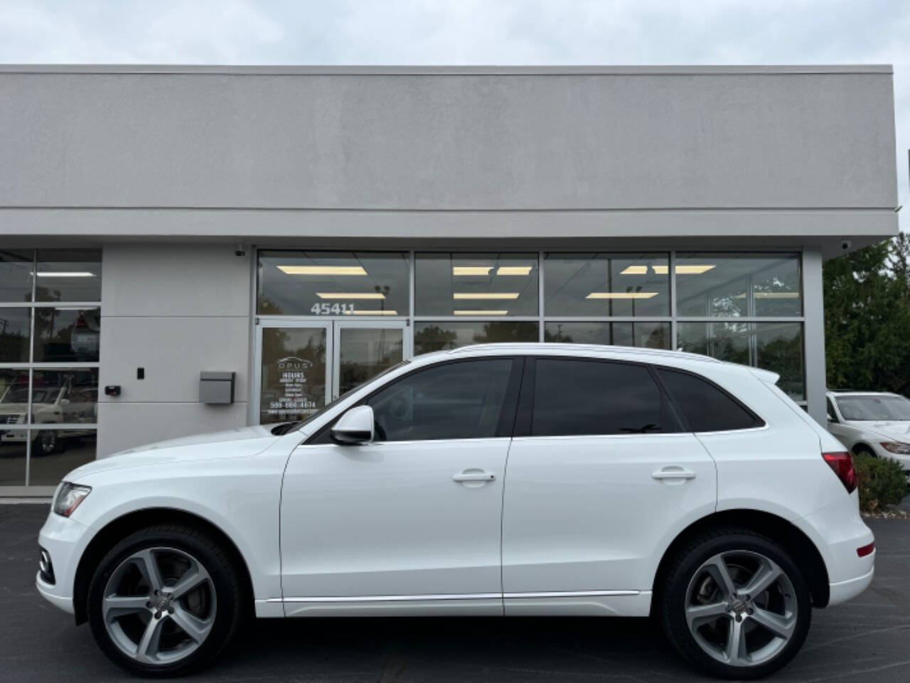 2014 Audi Q5 for sale at Opus Motorcars in Utica, MI