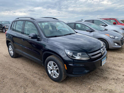 2016 Volkswagen Tiguan for sale at RDJ Auto Sales in Kerkhoven MN