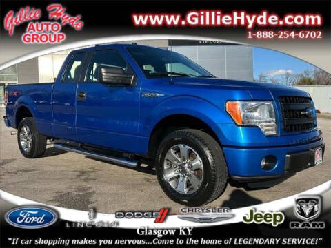 2013 Ford F-150 for sale at Gillie Hyde Auto Group in Glasgow KY