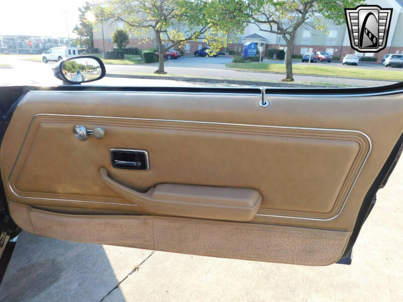 1981 Pontiac Firebird Trans Am