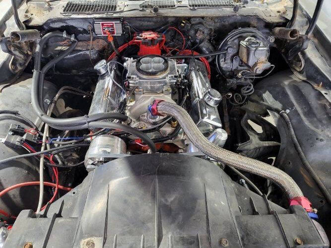 1980 Pontiac Firebird