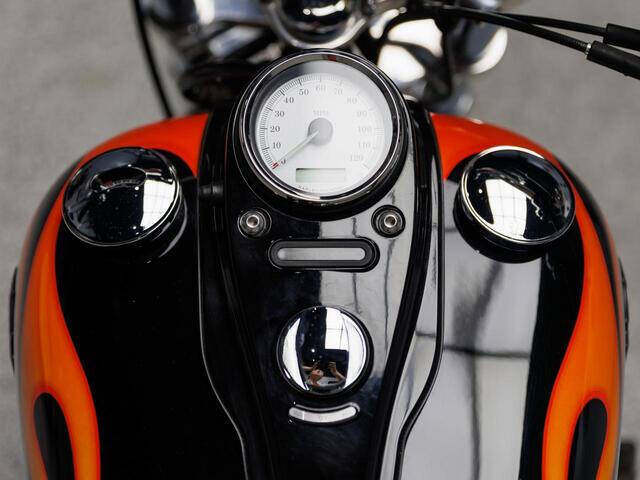 2010 Harley-Davidson Dyna