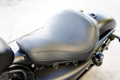 2015 Harley-Davidson Iron 883