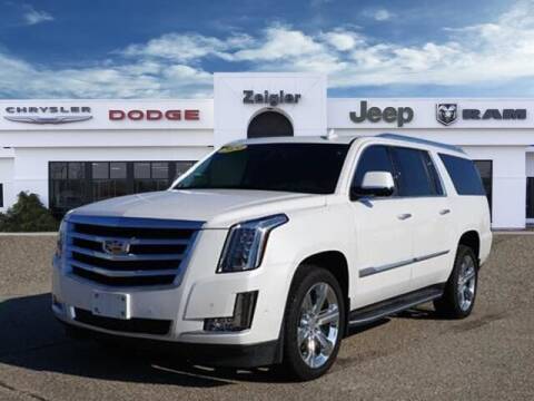 2020 Cadillac Escalade ESV for sale at Zeigler Ford of Plainwell- Jeff Bishop in Plainwell MI