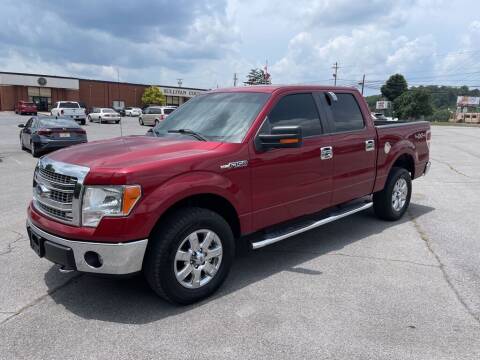 2013 Ford F-150 for sale at Carl's Auto Incorporated in Blountville TN