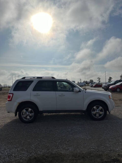 2010 Ford Escape for sale at Maahs Motors in Becker, MN